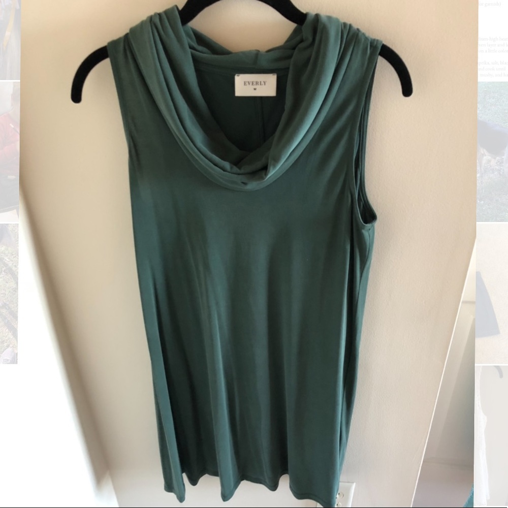 Everly Cowl Neck Dress